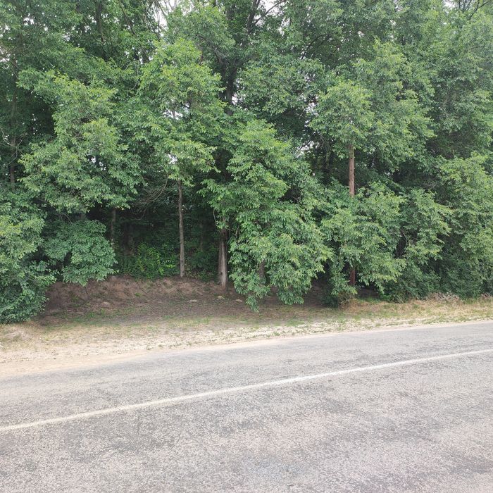 Продам будинок з земельною ділянкою