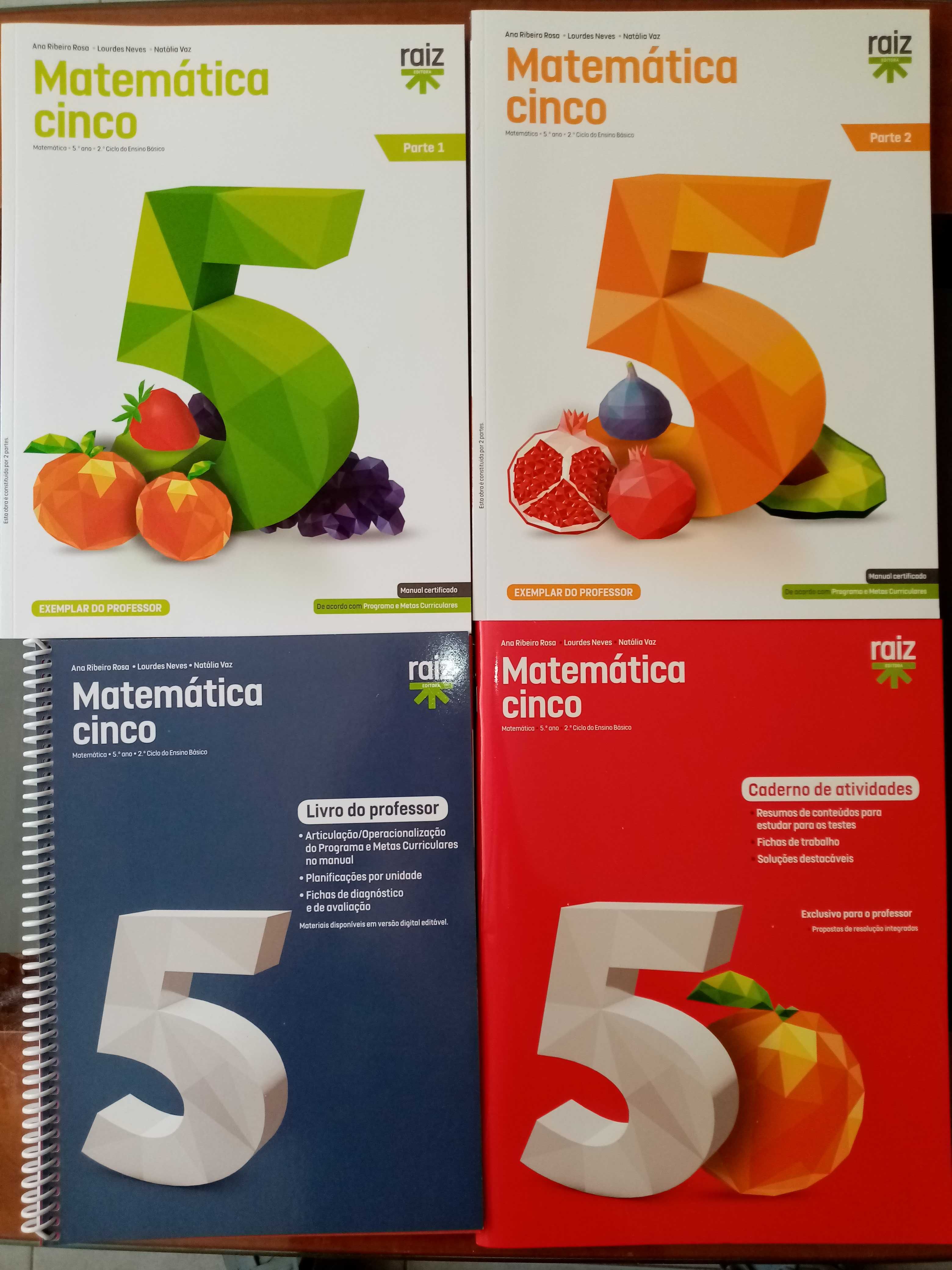 Livros professor 5 6 9 11 MSI Prisma Cinco 100% Matemática