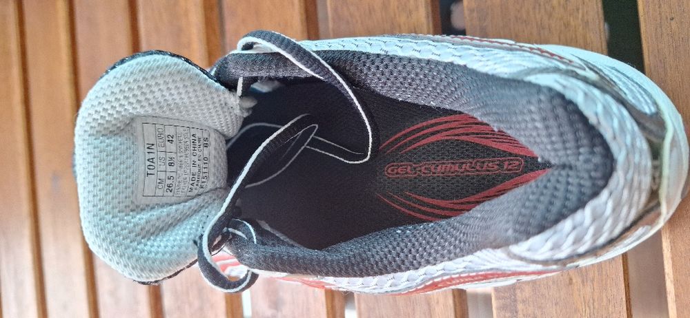 Asics gel cumulus 12