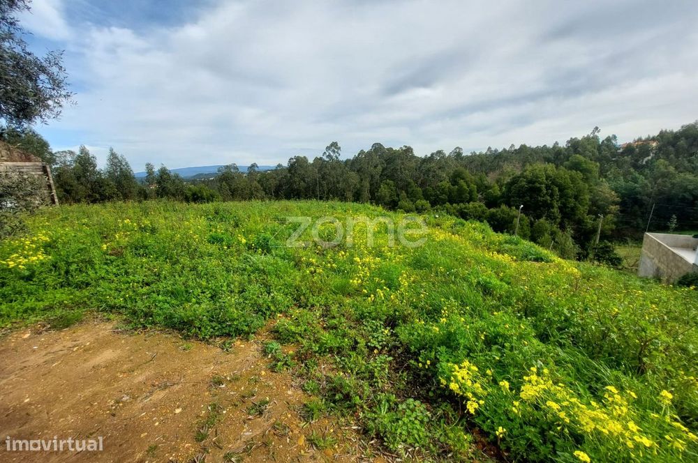 Terreno Urbano em Travassô