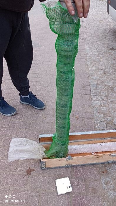 Wałek rozrządu SCANIA EURO 5  NOWY nr. 1730646  nie DAF  MAN VOLVO