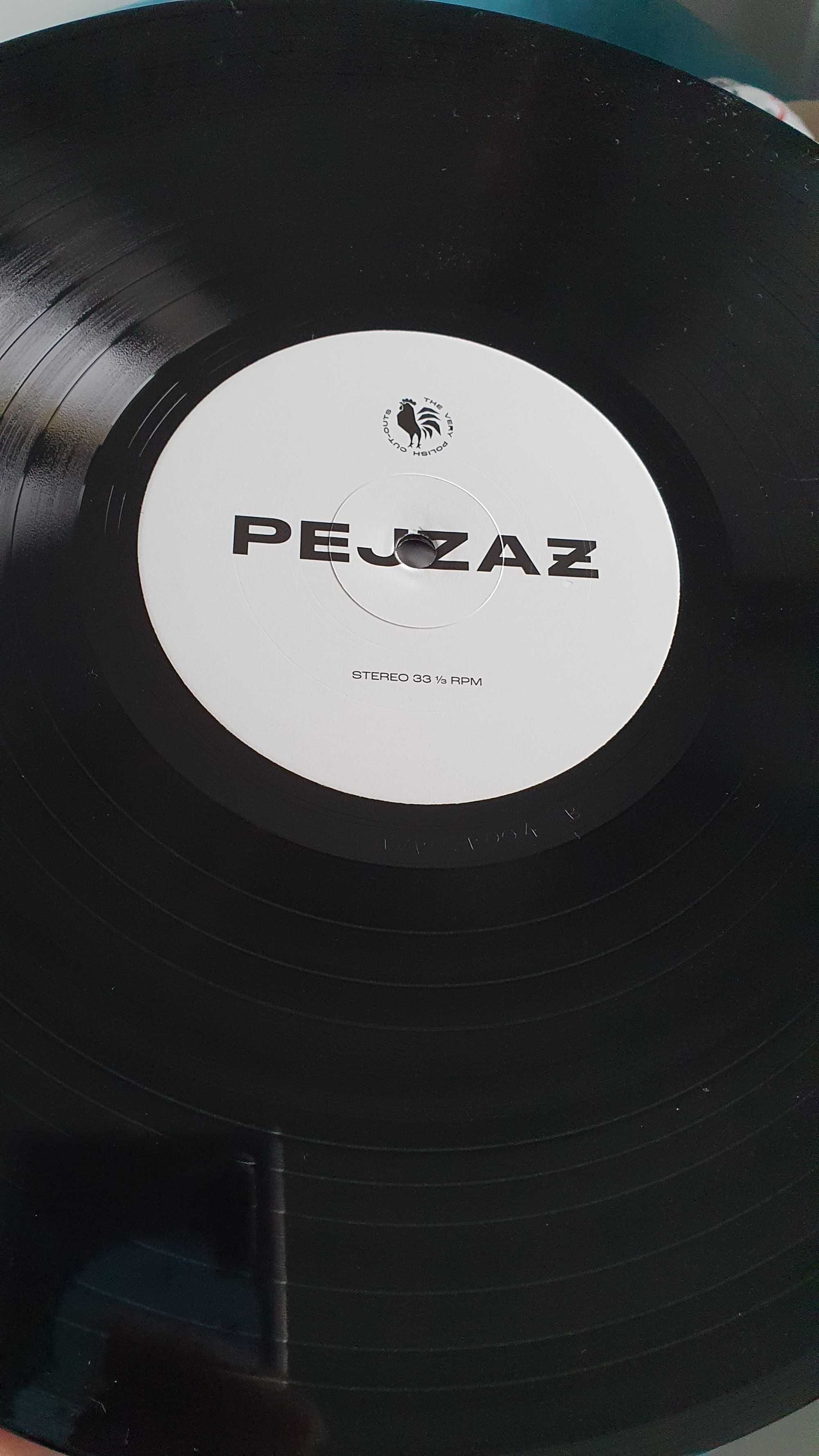 Pejzaż Wyspa vinyl nowy