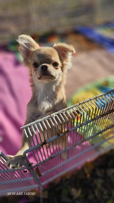 Дуже гарнюній хлопчик з документами КСУ