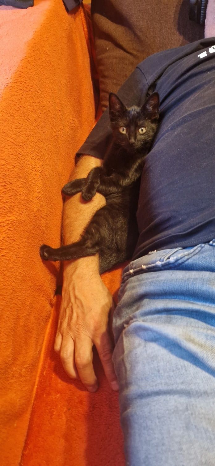 Krupniok i Benia polecają się do adopcji