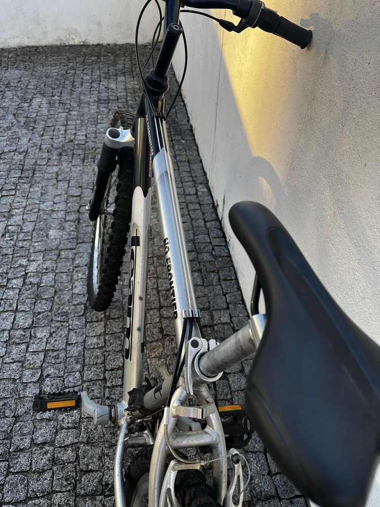 bicicleta-(team)
