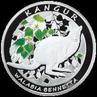 Kangur – Walabia Bennetta / Kangur olbrzymi 2013