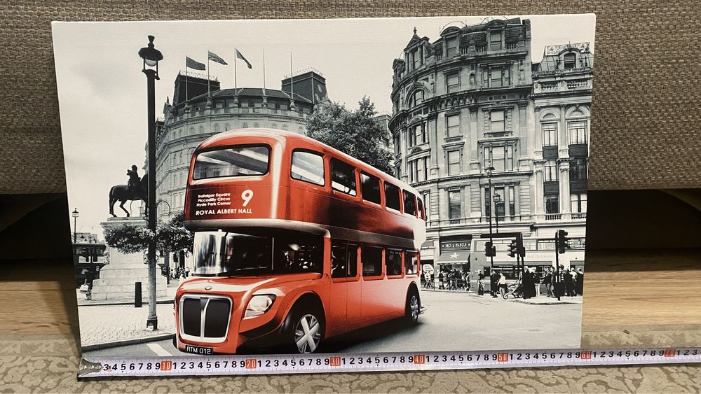 Картини Кішка та Британський Автобус