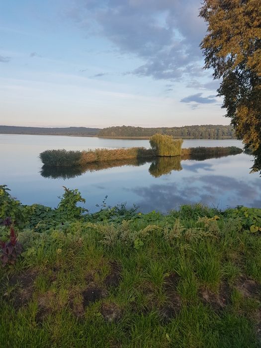 Подобова оренда житла