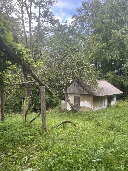 Продається дім в карпатах