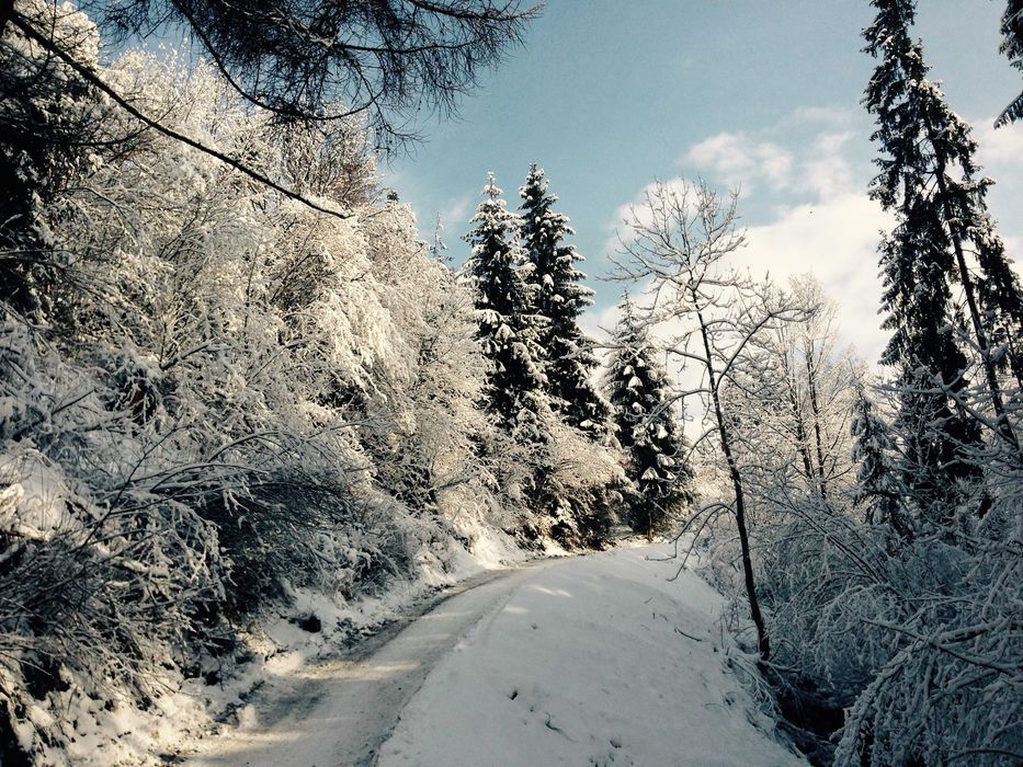 SYLWESTER w górach Dom 20 osób  Rajcza Beskidy nocleg balia