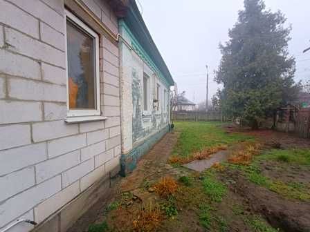 Будинок Золотоноша