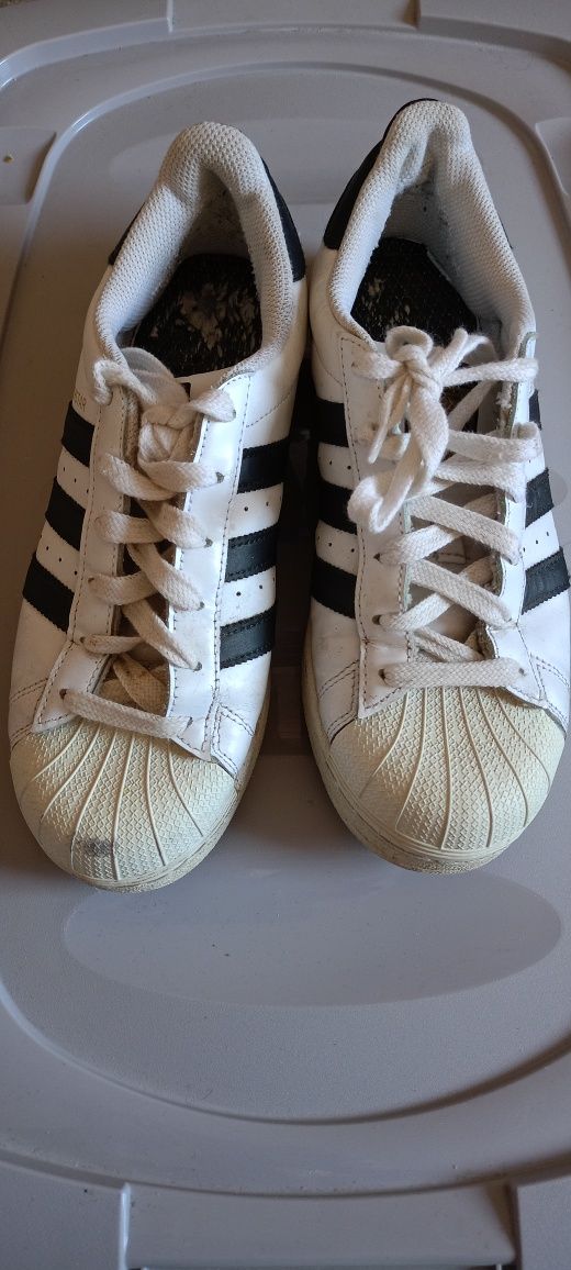 Adidas superstar US 6,5