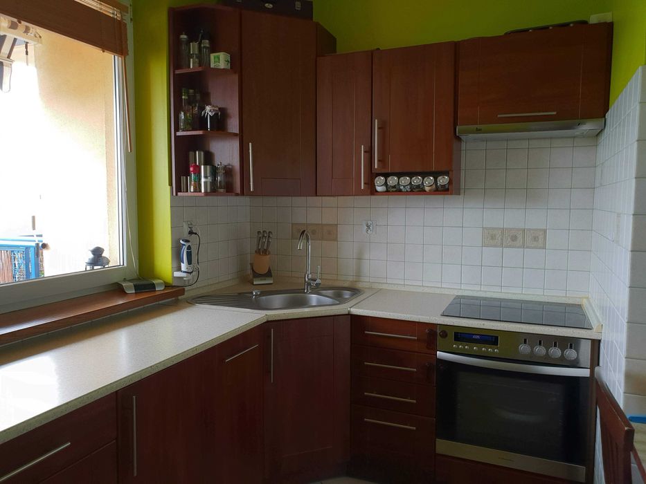 Mieszkanie do wynajęcia - 50m2