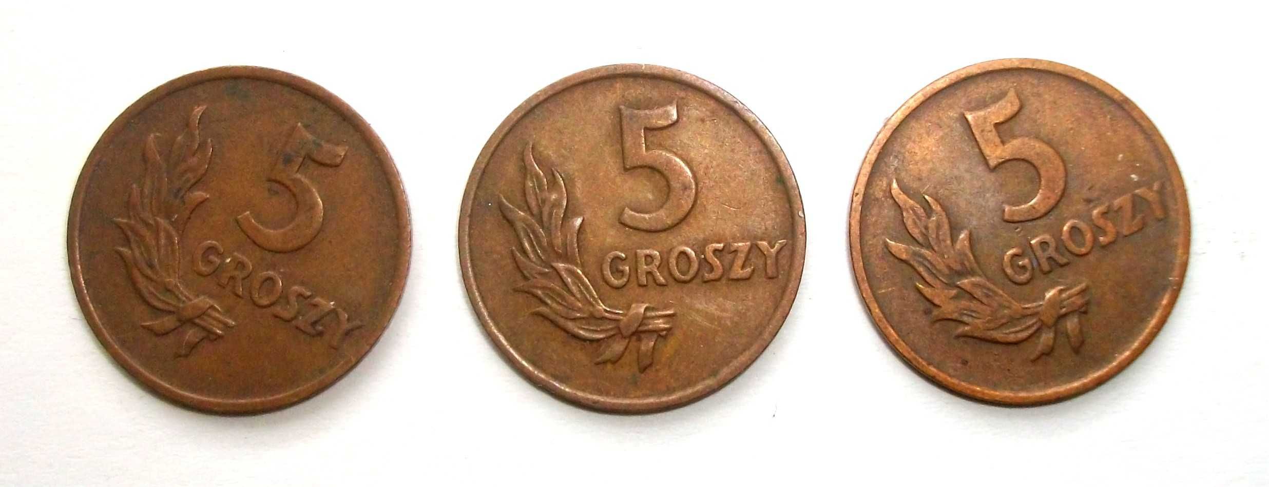 5 groszy 1949 brąz Ładne 3 sztuki