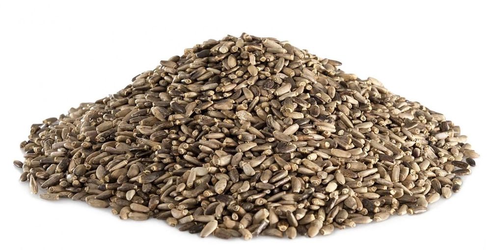 Ostropest piękne, czyste ziarno