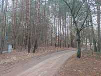 Działka 1015m2, Stare Załubice, gmina Radzymin