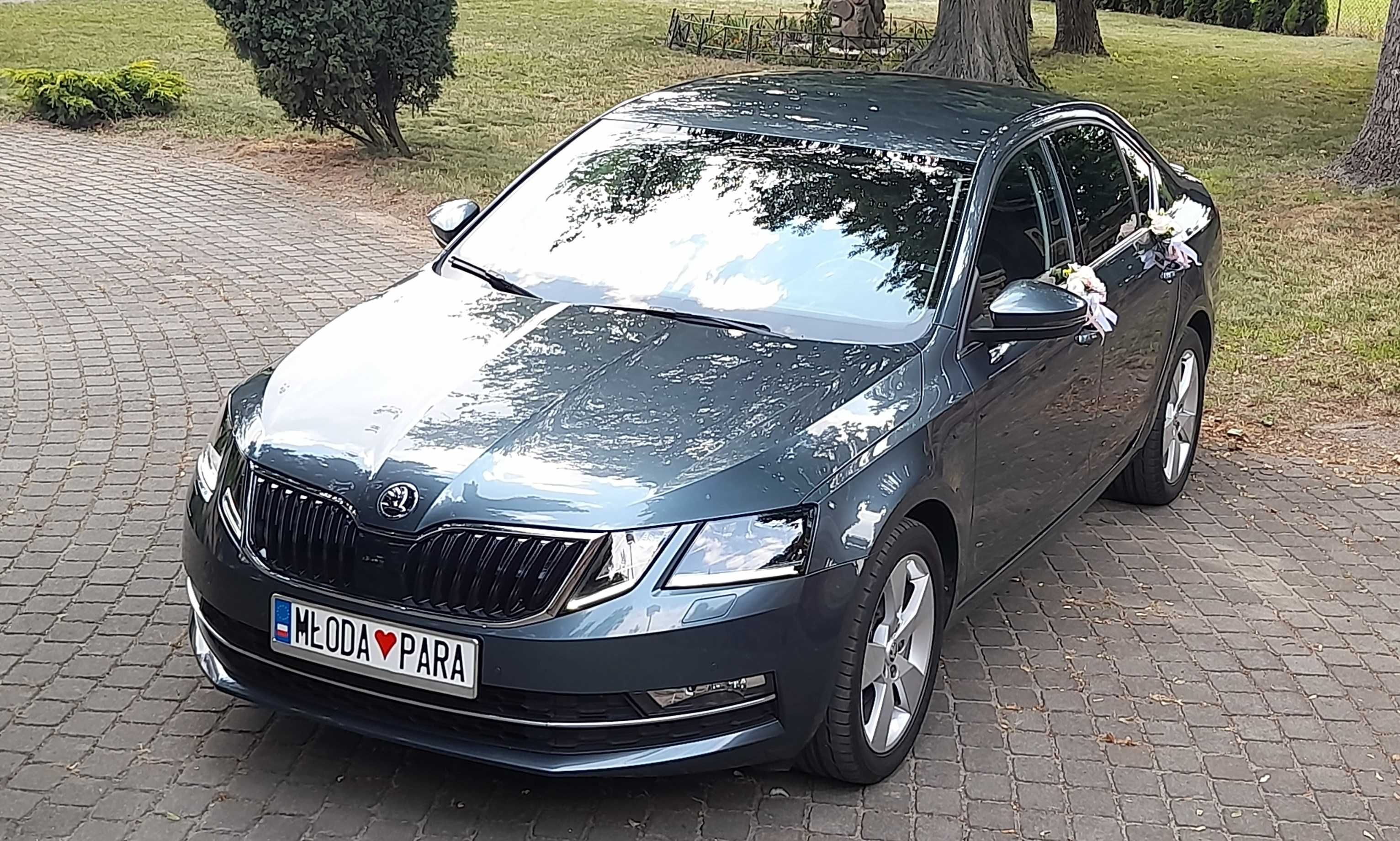 Auto do Ślubu - Piękna Skoda Octavia