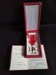 Stary medal Polonia Restituta, Krzyż Kawalerski Odrodzenia Polski