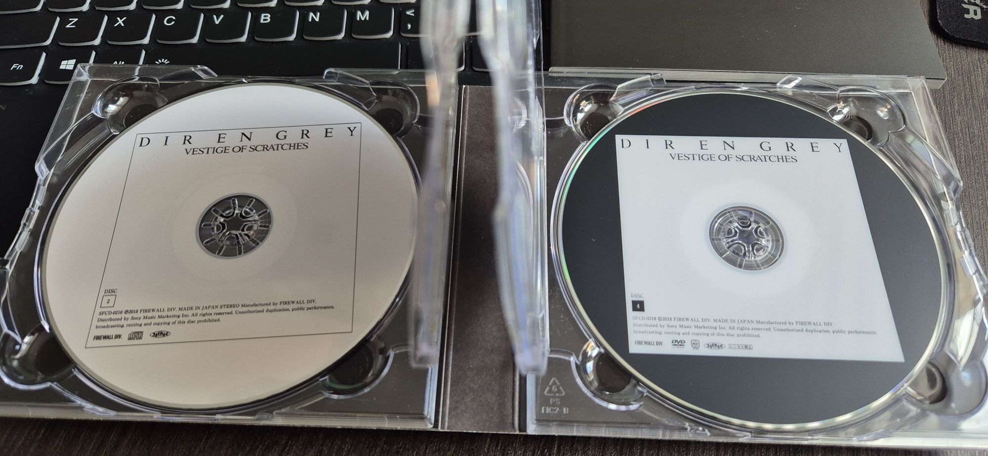 DIR EN GREY / Vestige of Scratches / jrock visual kei / Kyo sukekiyo