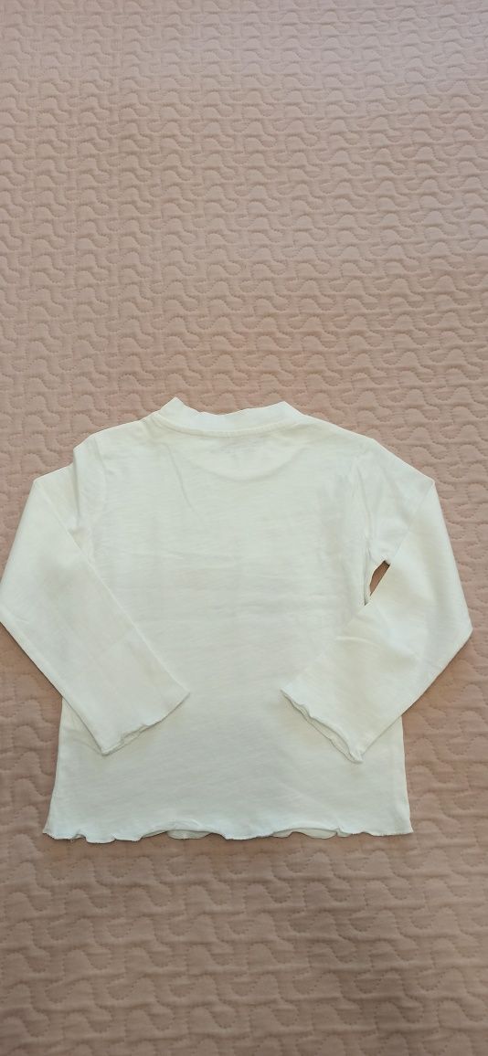 Bluzeczka/Koszulka z długim rękawem z pieskiem, marka Reserved,roz.104
