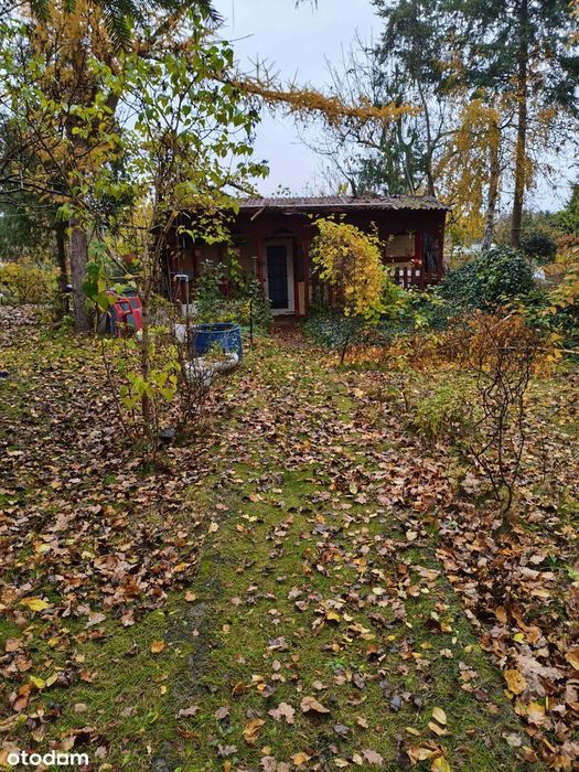 Działka ROD Kolejarz w Bydgoszczy!