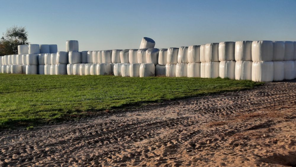 Sprzedam kiszonkę z lucerny i traw