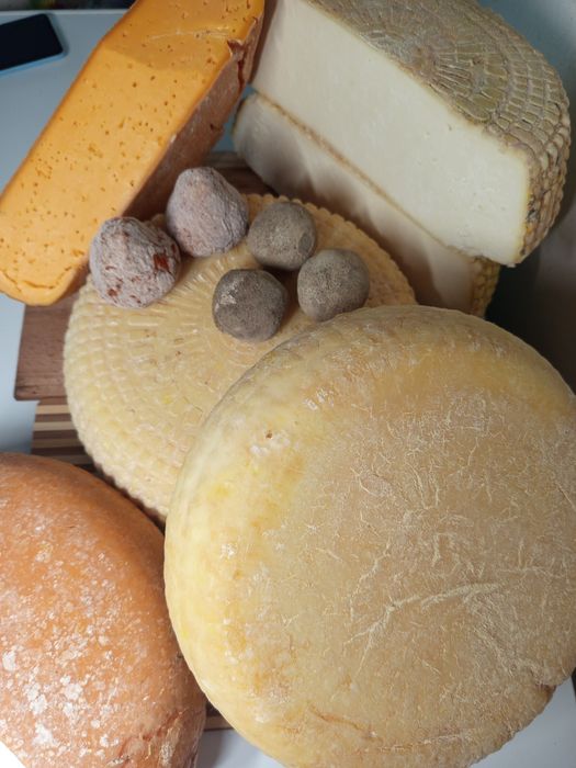 Козиний сир, крафтове сироваріння та інша продукція з козиного молока