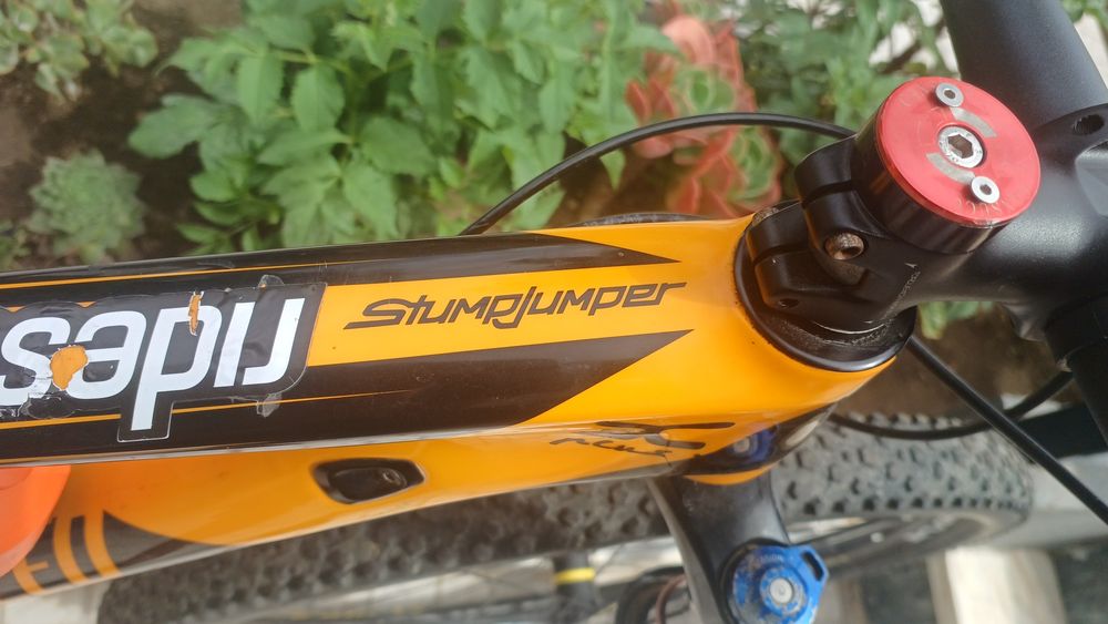 Specialized stumpjumper S