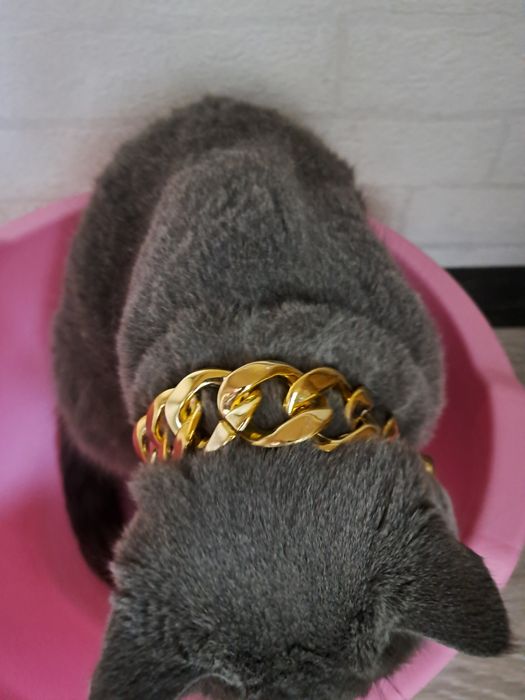 Цепь, ланцюжок широкий для тварин