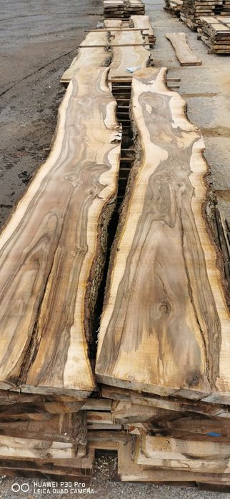 Orzech włoski, tarcica deski orzech