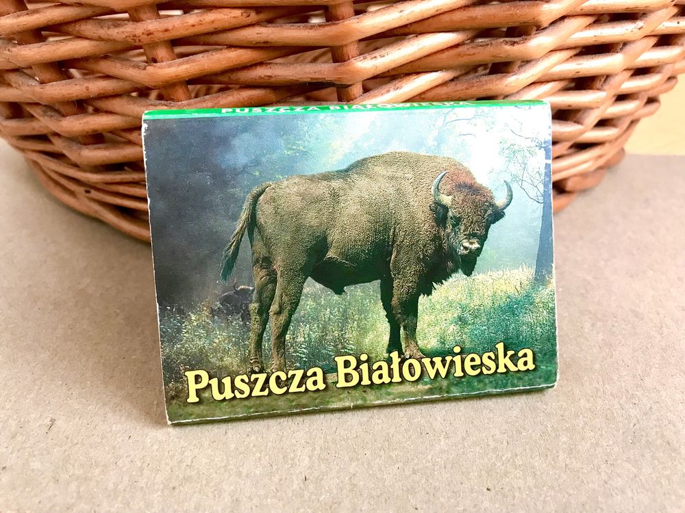 Puszcza Białowieska widokówki ze zwierzętami harmonijka obrazkowa PRL