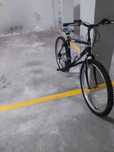 Bicicleta adulto