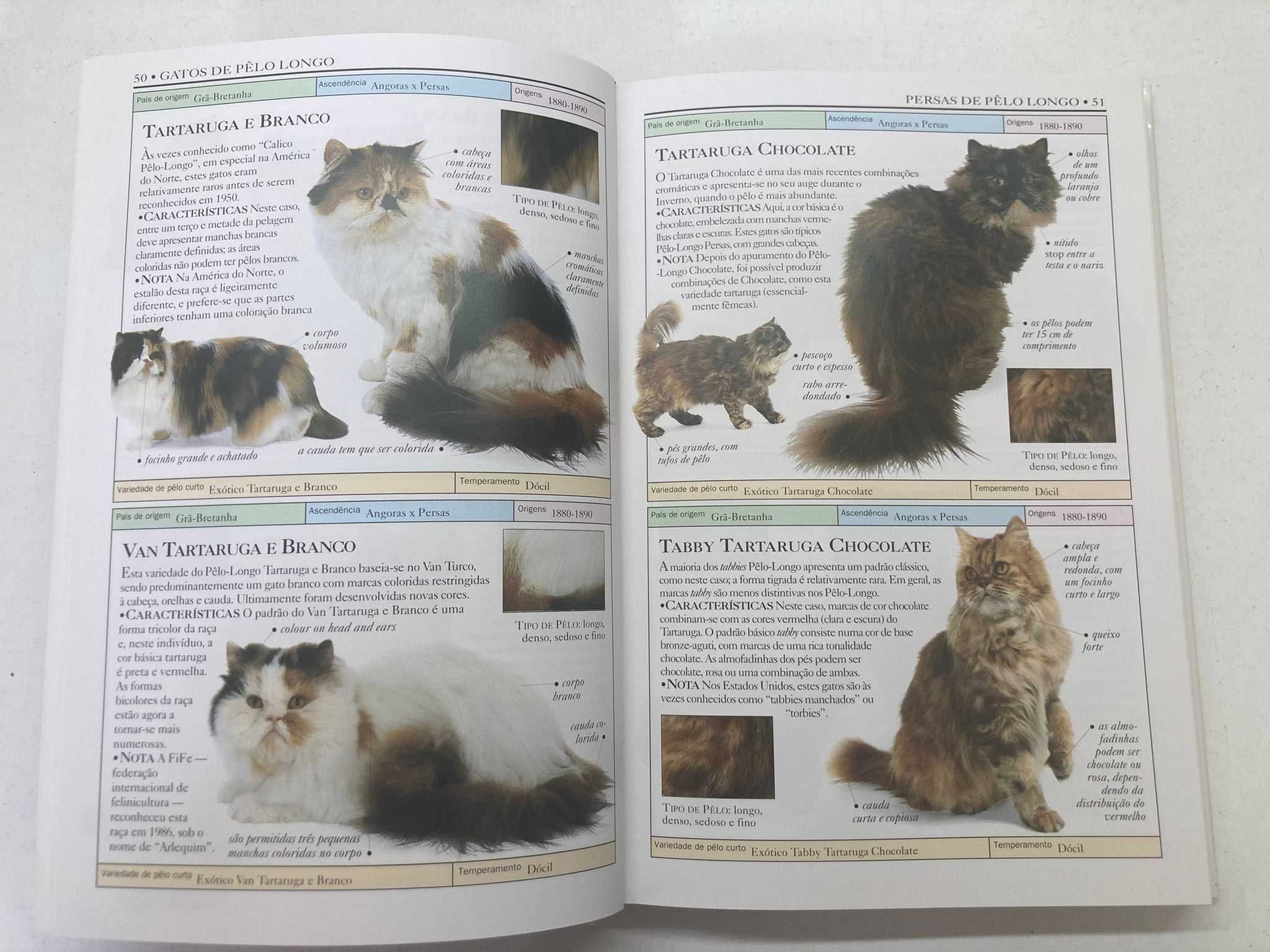 Livro - Segredos da Natureza (Gatos) (portes grátis)