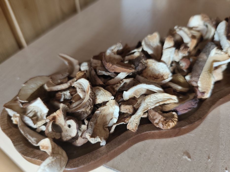 Suszony borowik tegoroczny