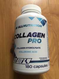 Nowy Collagen Pro