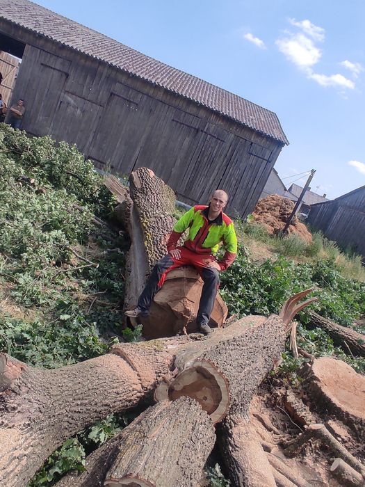 Wycinka i pielęgnacja drzew, wyburzenia budynków