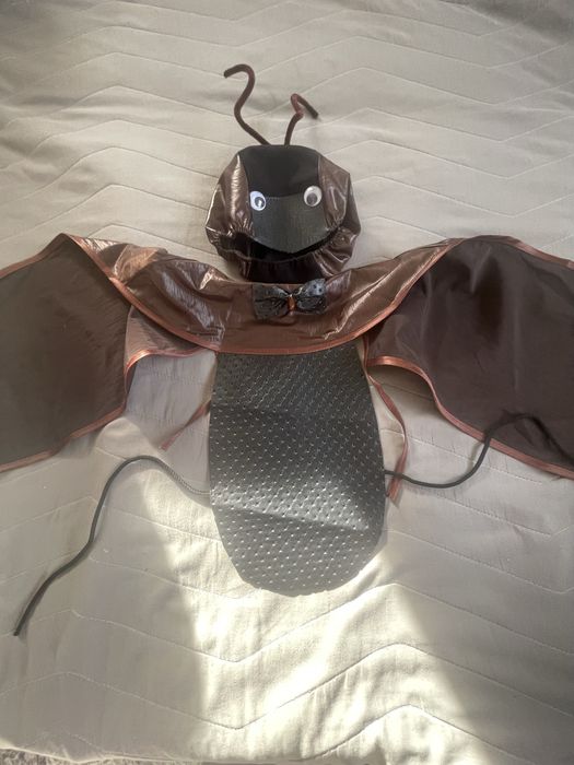 Костюм Мурахі жука