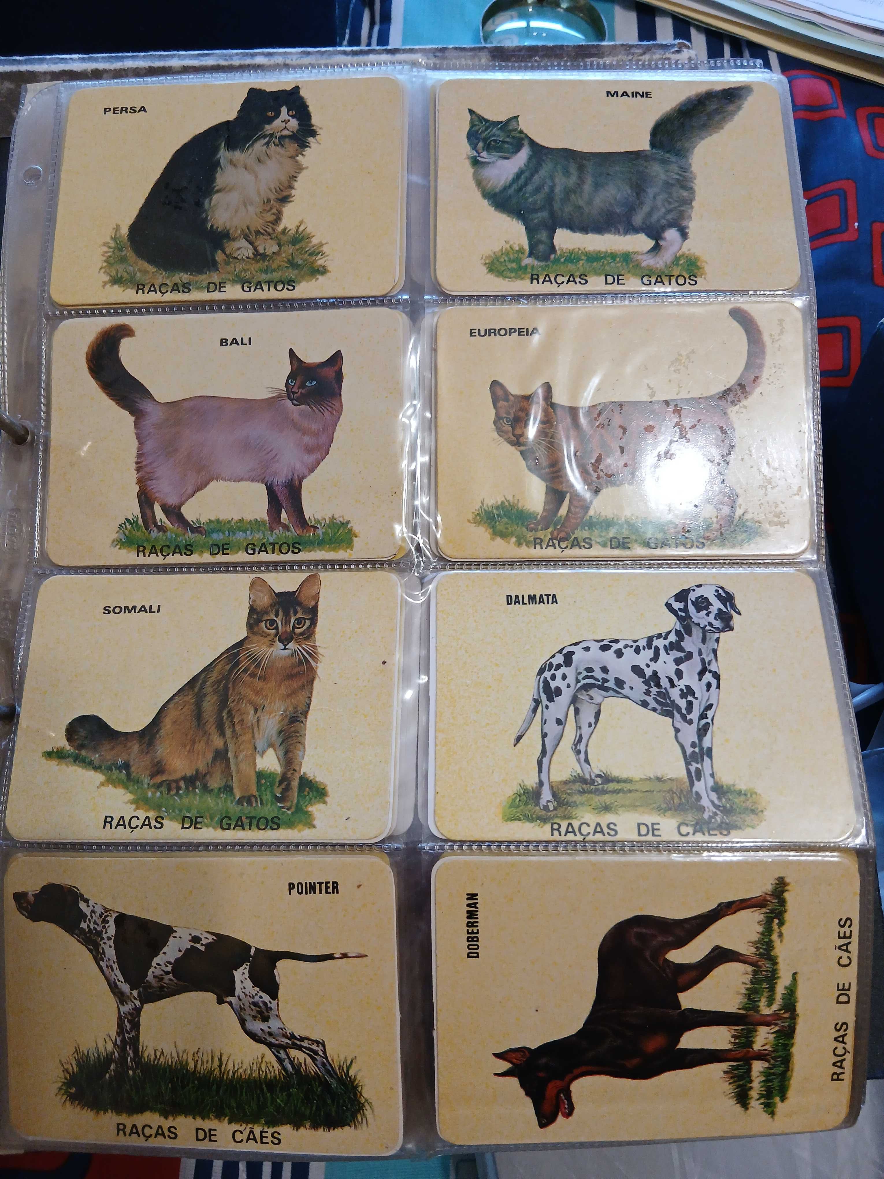 Colecção de Calendários Antigos