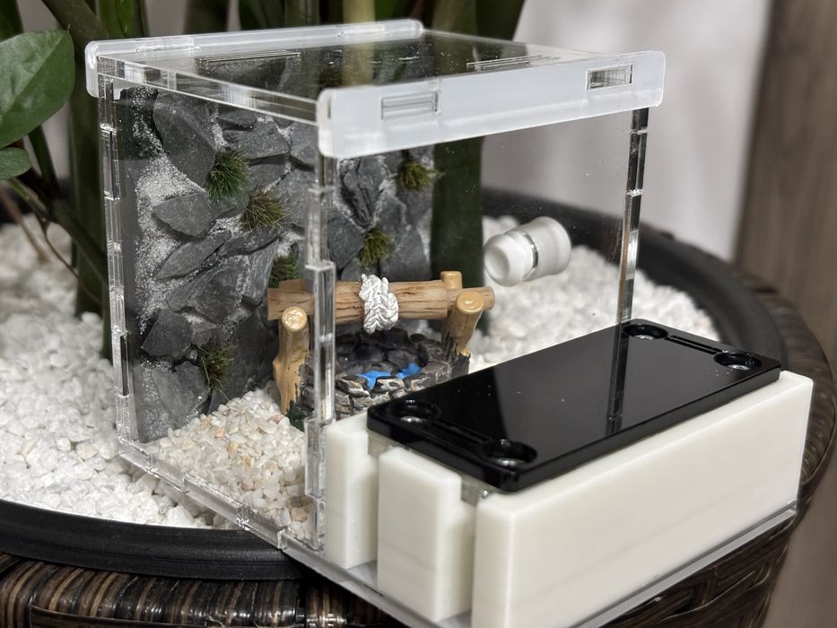 Formikarium Combo S formikarium dla mrówek z gniazdem gipsowym