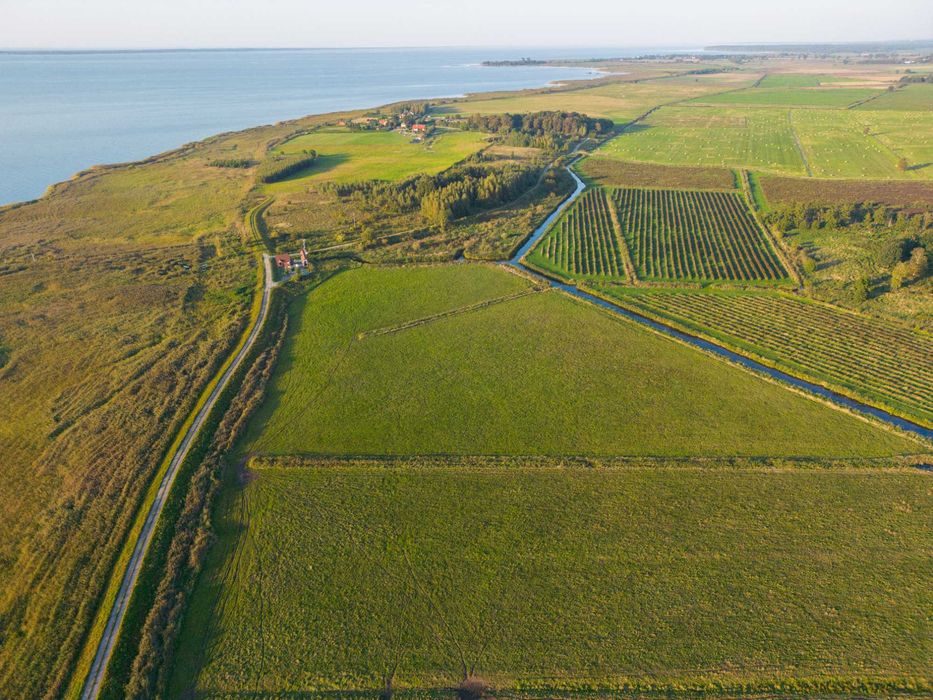 Na sprzedaż plantacja jagody kamczackiej – 20 ha