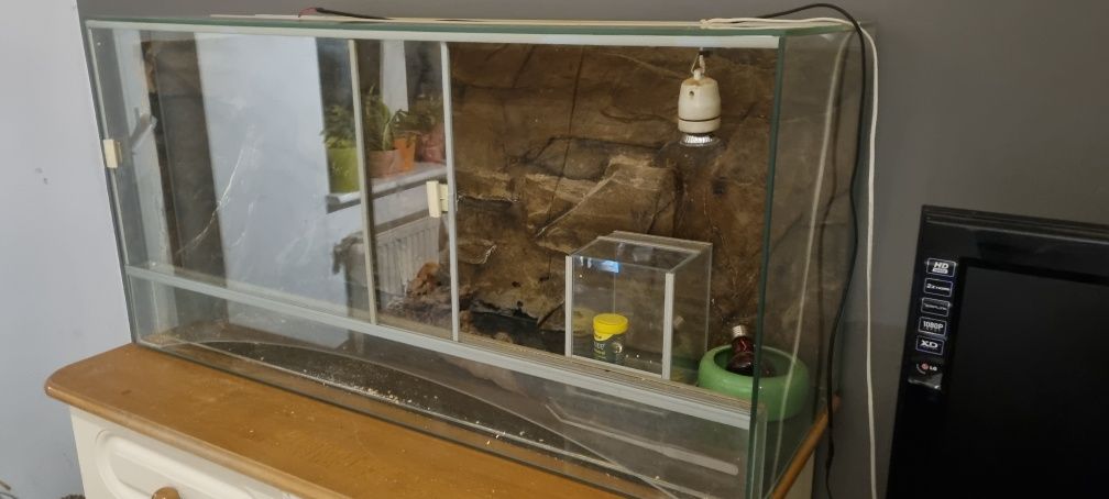 Terrarium 100x40 wys 50 + wyposażenie