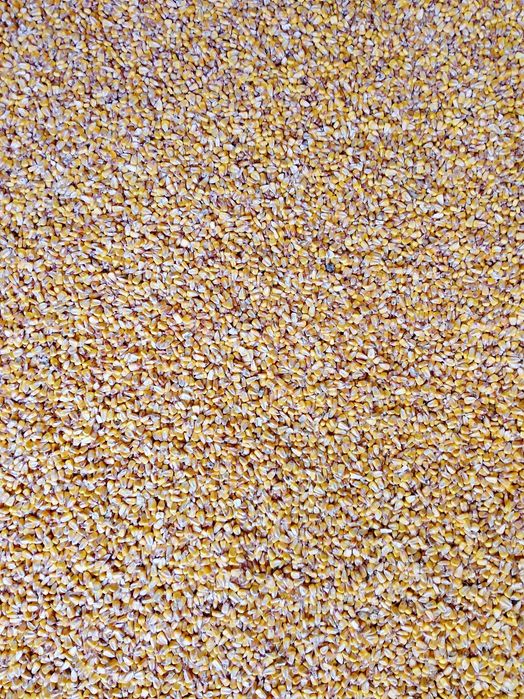 Kukurydza sucha i mielona