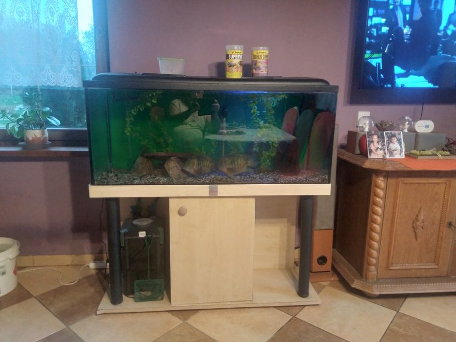 Akwarium 300 litrów