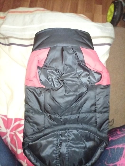 На собаку жилетка