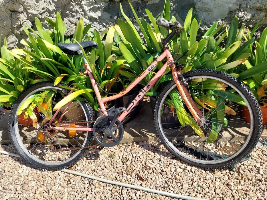 Bicicletas(precisam pequenas reparações)