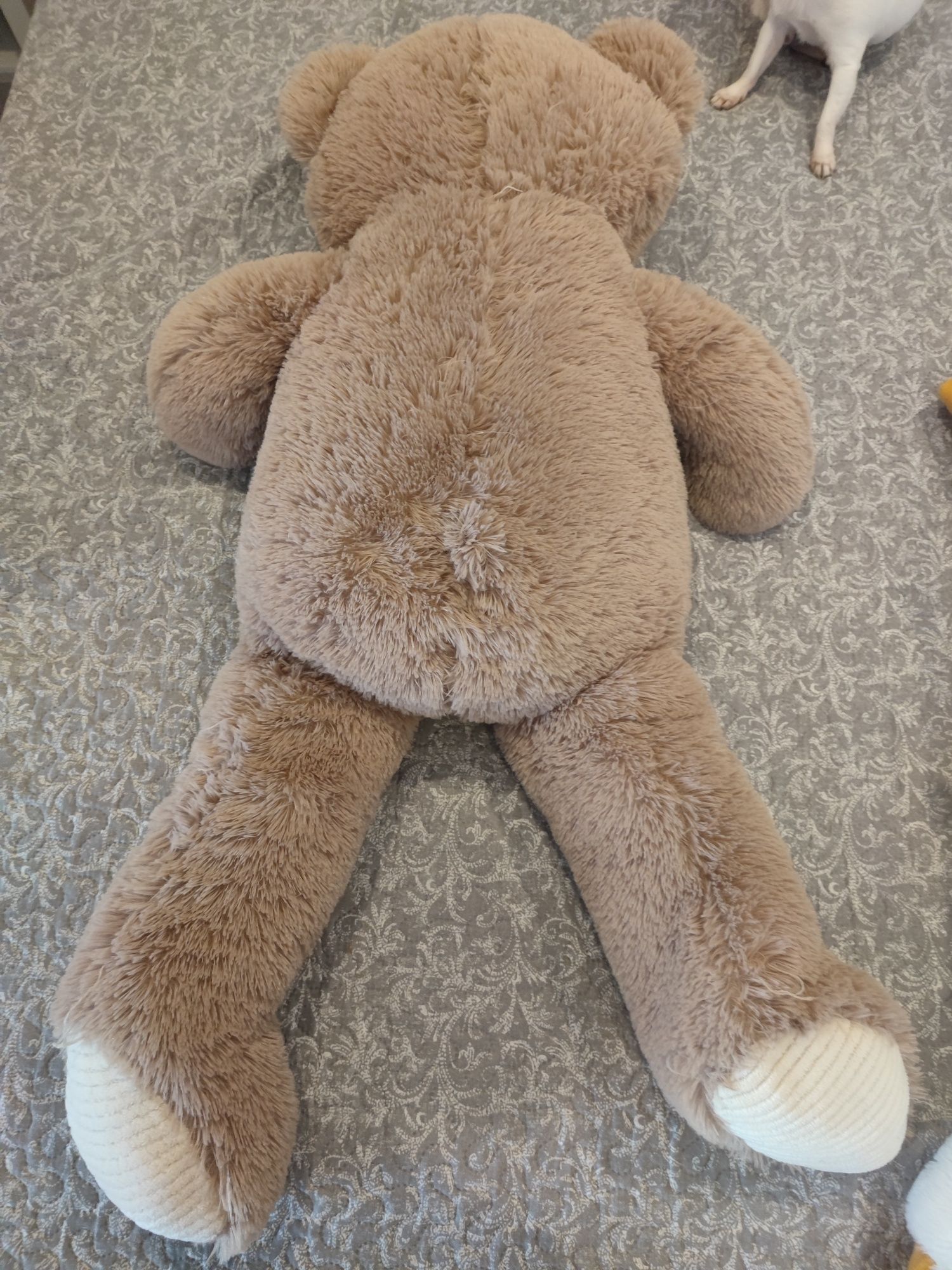 Miś pluszowy 100cm