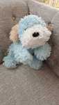 Peluche - cão azul, NOVO