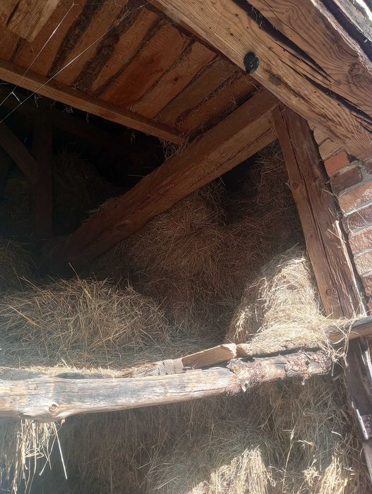 Sprzedam siano  z tego roku