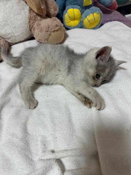 Хлопчик в хороші руки