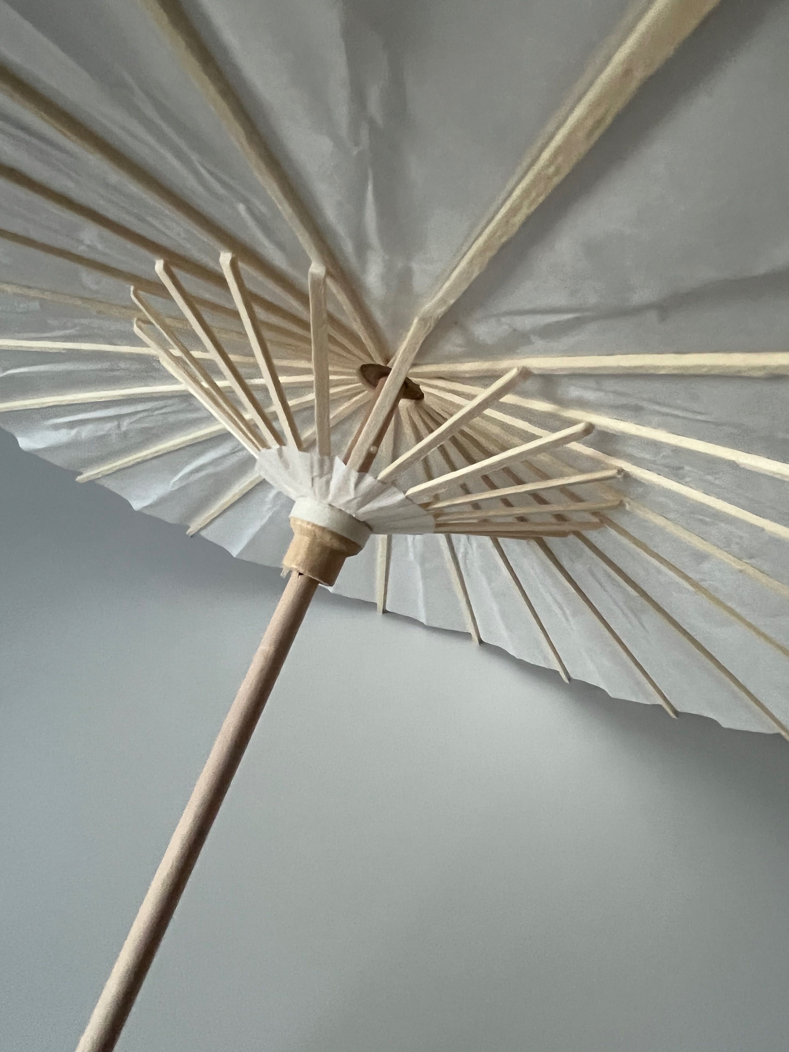 Biała parasolka japońska